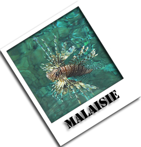 MALAISIE