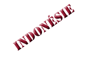 indo