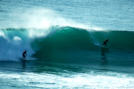 surf