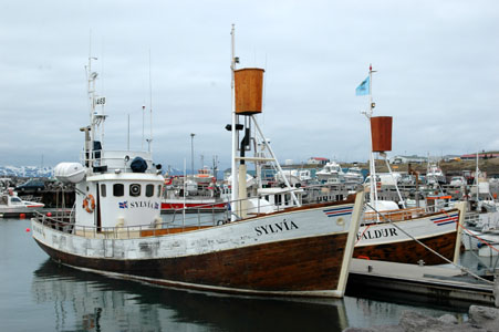 Nord