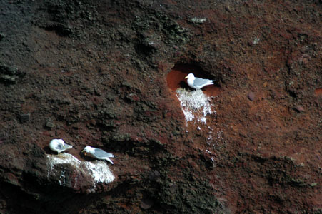 Reykjanes