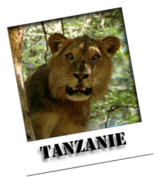 tanzanie